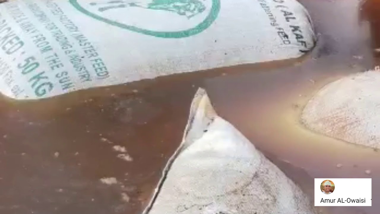 التسميد بواسطة الأحواض👍وفر جهدك ووقتك وفلوسك