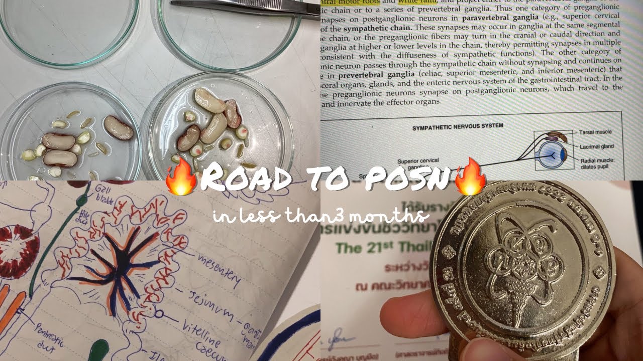 Guide line วิธีที่เราใช้เพื่อสอบติดสอวน.ชีวะใน3เดือน | ROAD TO POSN