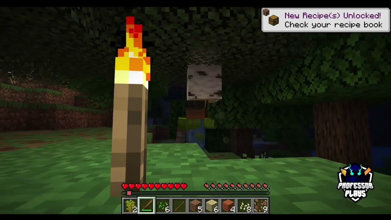 Let's Play Minecraft - Das 100 Subscriber Special