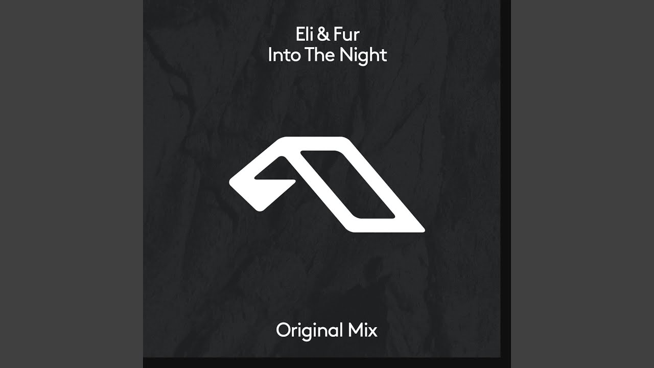 Into The Night (Extended Mix)
