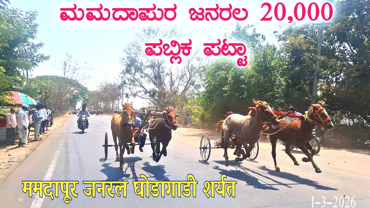 ಮಮದಾಪುರ ಜನರಲ 20,000 ಪಬ್ಲಿಕ ಪಟ್ಟಾ~💨🔥 |ममदापूर जनरल घोडागाडी शर्यत @ghodasharyat  1-3-2026