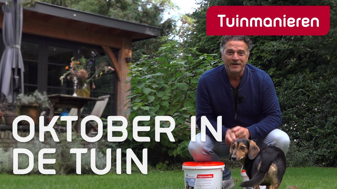 Wat doe je in oktober in de tuin? | Herfst | Tuinmanieren