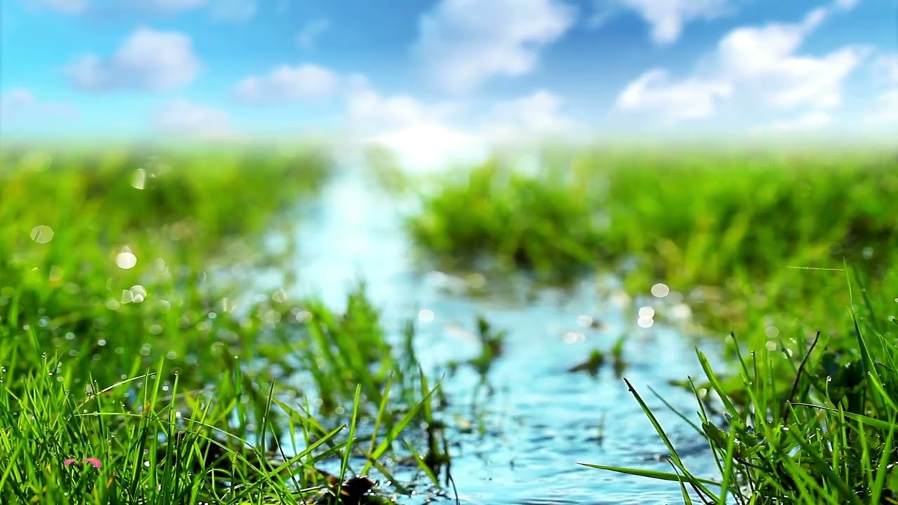 Relaxing Spring Brook in 4K UHD – Flowing Water Sounds and Calming Music for Stress Relief