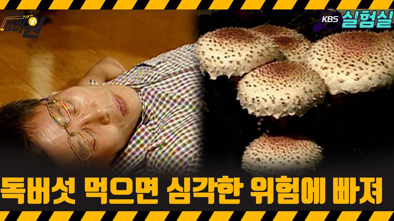 [지식실험] 독버섯 먹으면 심각한 위험! [위기탈출 넘버원] | KBS 20071013 방송