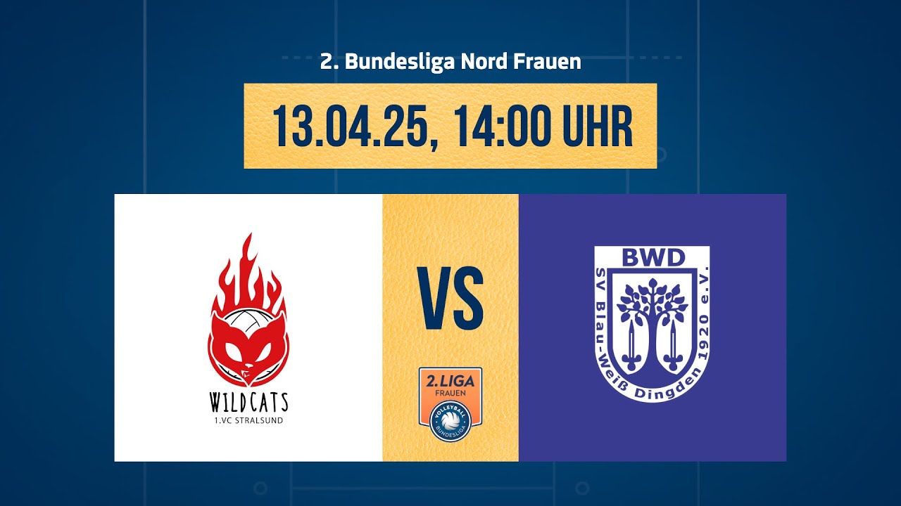 Stralsunder Wildcats – SV Blau-Weiß Dingden (2. Volleyball Bundesliga Nord F 24/25)