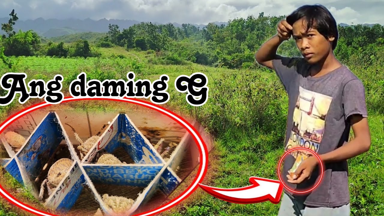Spider Hunting / May nakasalubong akong Bata ang daming gagamba