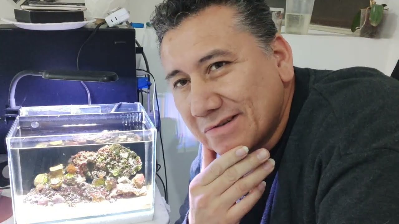 LA IMPORTANCIA DE LA MICROFAUNA EN UN MINI ACUARIO 