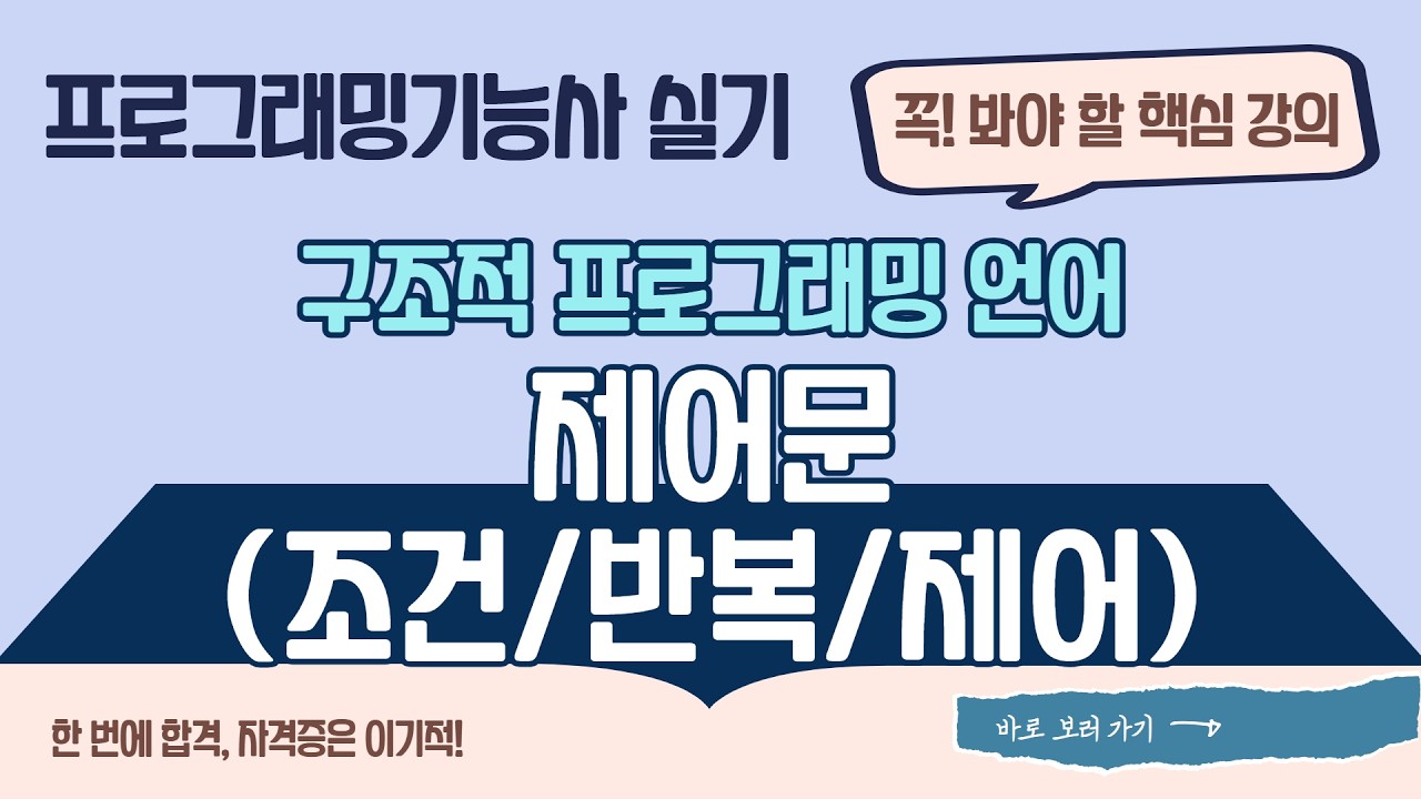 [프로그래밍기능사 실기] 1-1-2 제어문(조건/반복/제어)