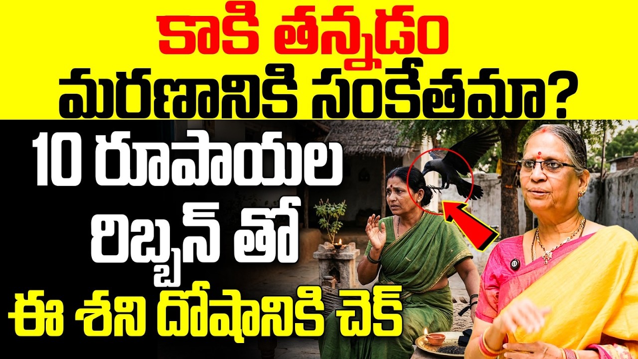 కాకి తన్నడం మరణానికి సంకేతమా? ఇది చూడండి! | signs of Shani  Dosham Telugu