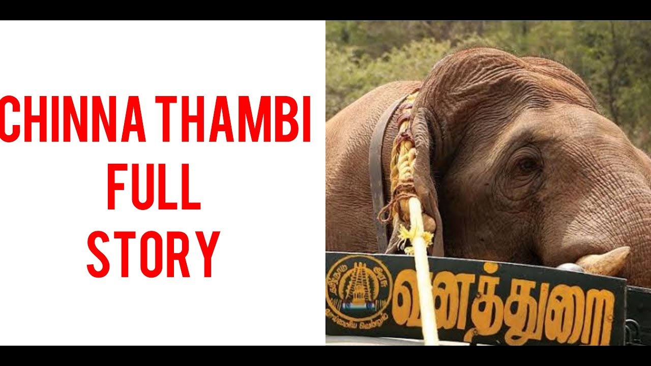 Chinna Thambi Full Story | Tamil | Why | GR