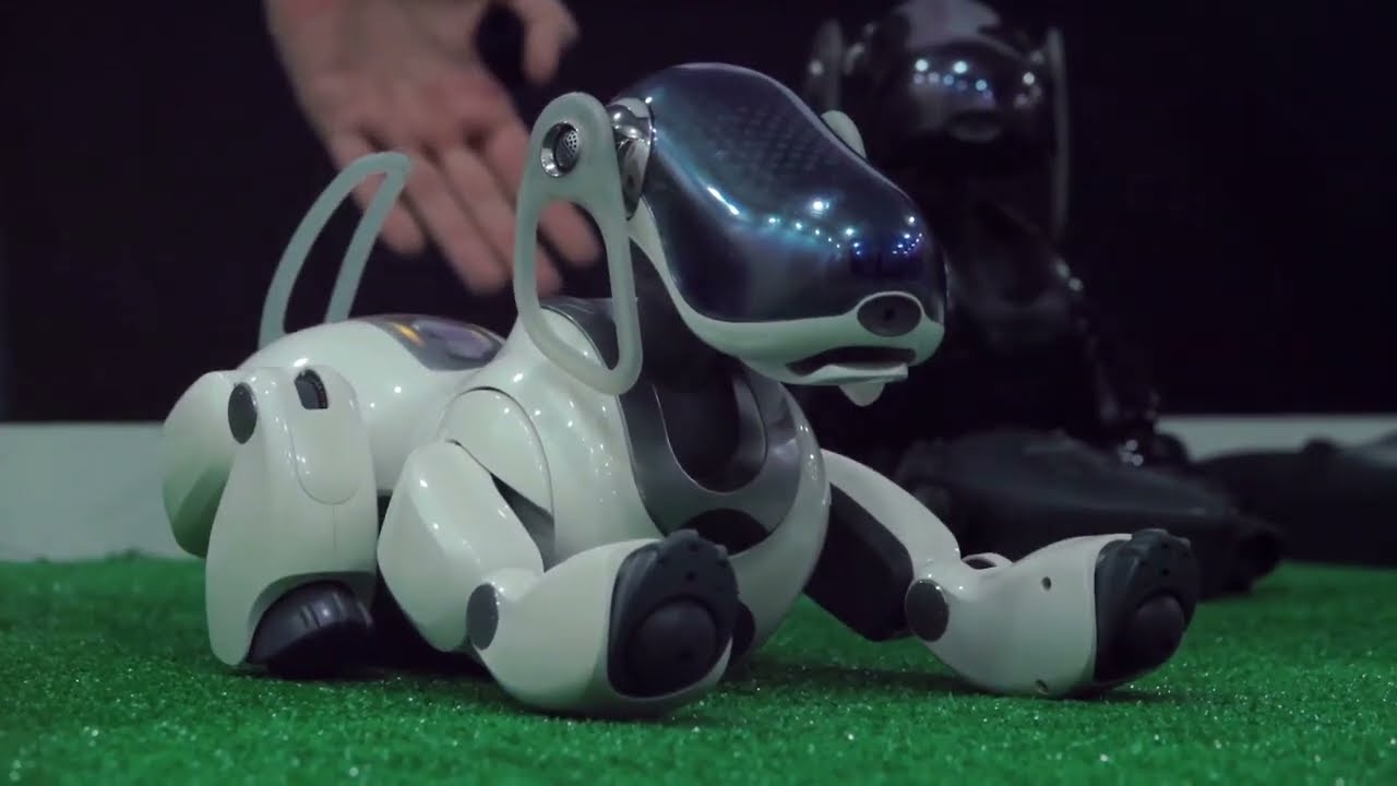 AI Dogs: The Future of Pets and Their Hefty Price Tag