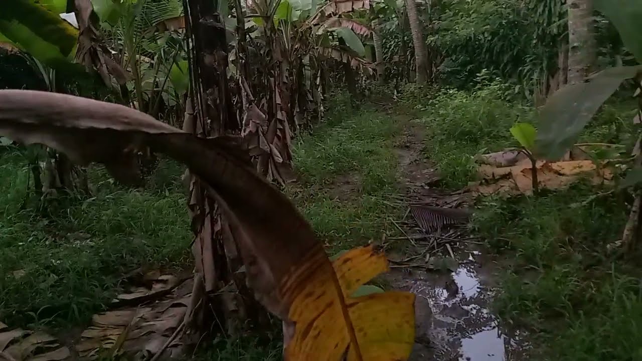 Cek lokasi sandekala masuk ke lokasi angker bekas banjir bikin merinding.