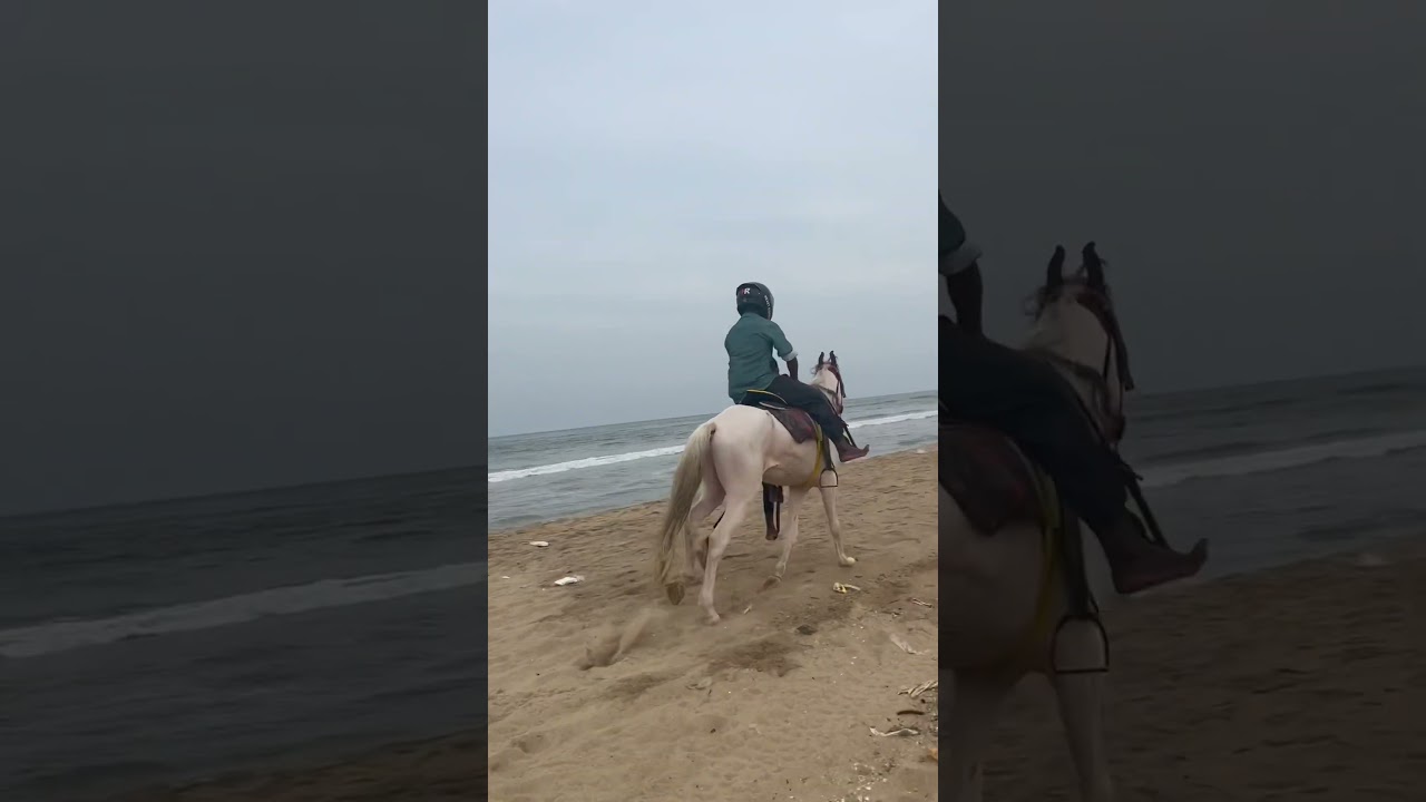 Heart Rider became a Horse Rider 😅😅😍🥰#heartrider #jerry #horseriding