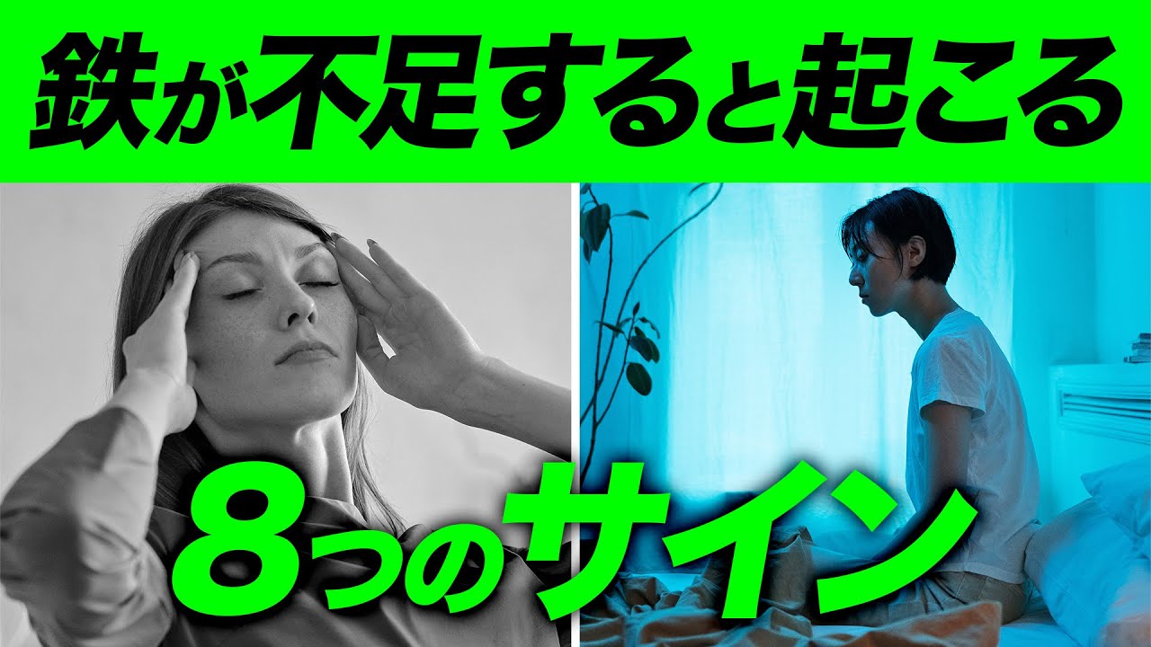 【前半】「鉄」が不足すると起こる8つのサインと過剰摂取について【ビーレジェンド プロテイン】