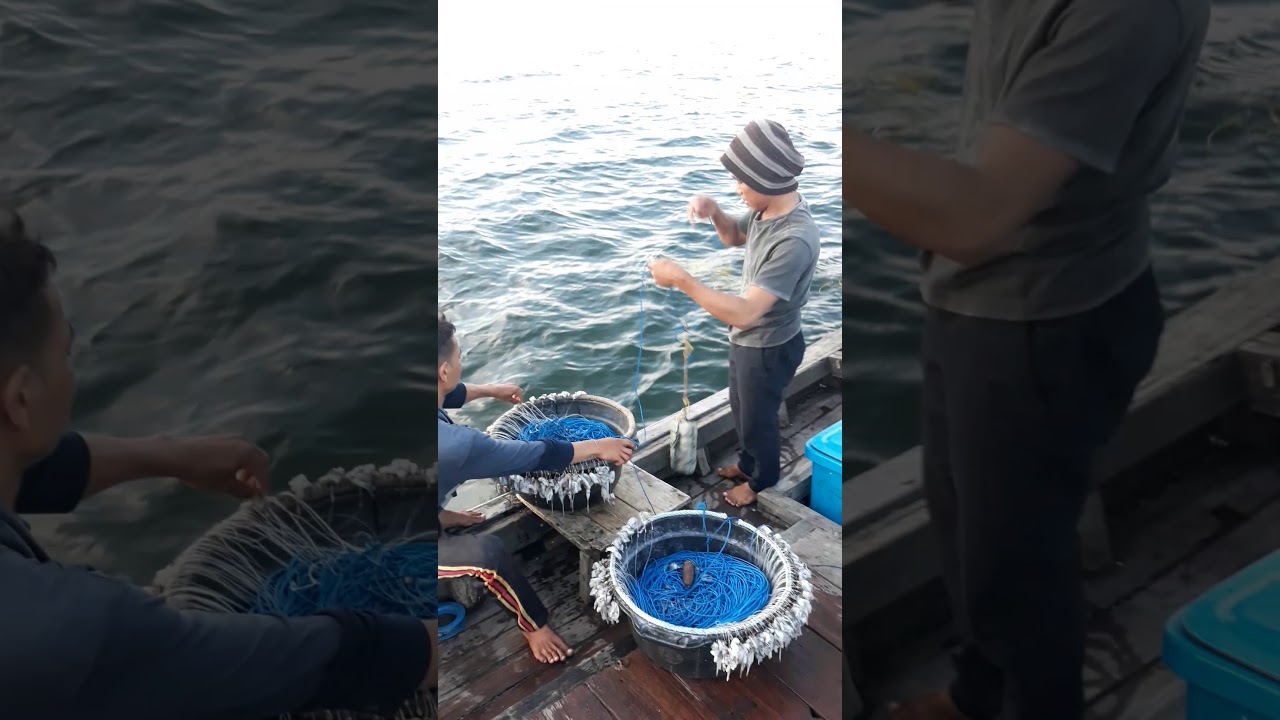 Cara membuang rawai atau melabuh rawai