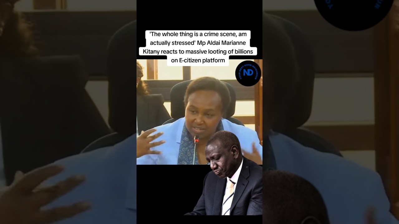 Aldai Mp Marianne Kitany reacts to massive looting of billions on E-citizen platform