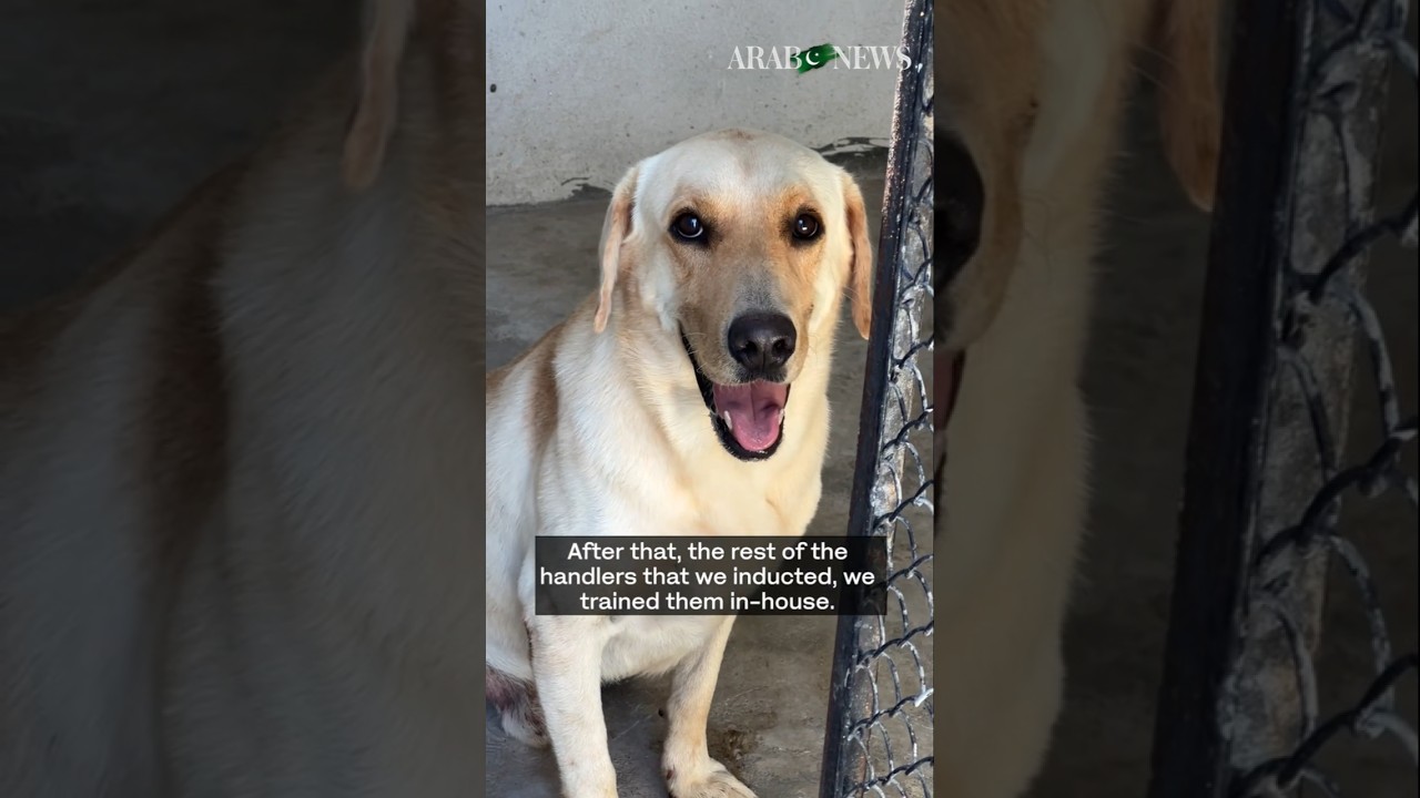 From kennels to crime scenes: Inside Islamabad’s police dog unit tracking criminals and contraband
