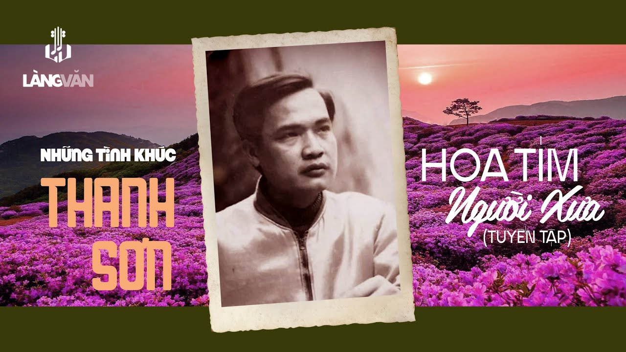 Hoa Tím Người Xưa (Tuyển Tập) | Những Tình Khúc Thanh Sơn | Hương Lan, Phượng Mai...