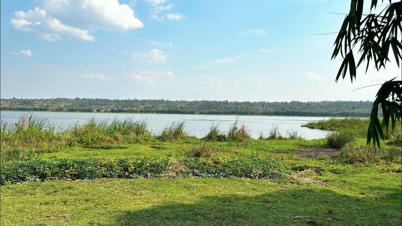 Lakefront Land for Sale in Rwanda 🌊 | Bugesera 1.3 Hectares | 75M Rwf