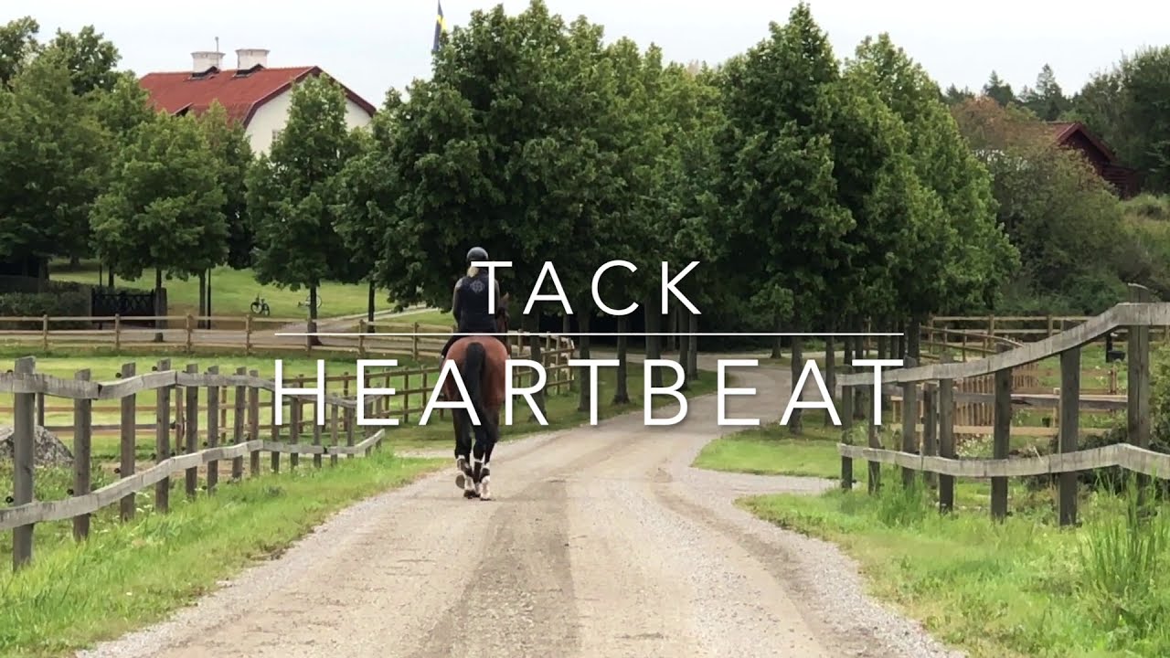 Lär känna Heartbeat 1334
