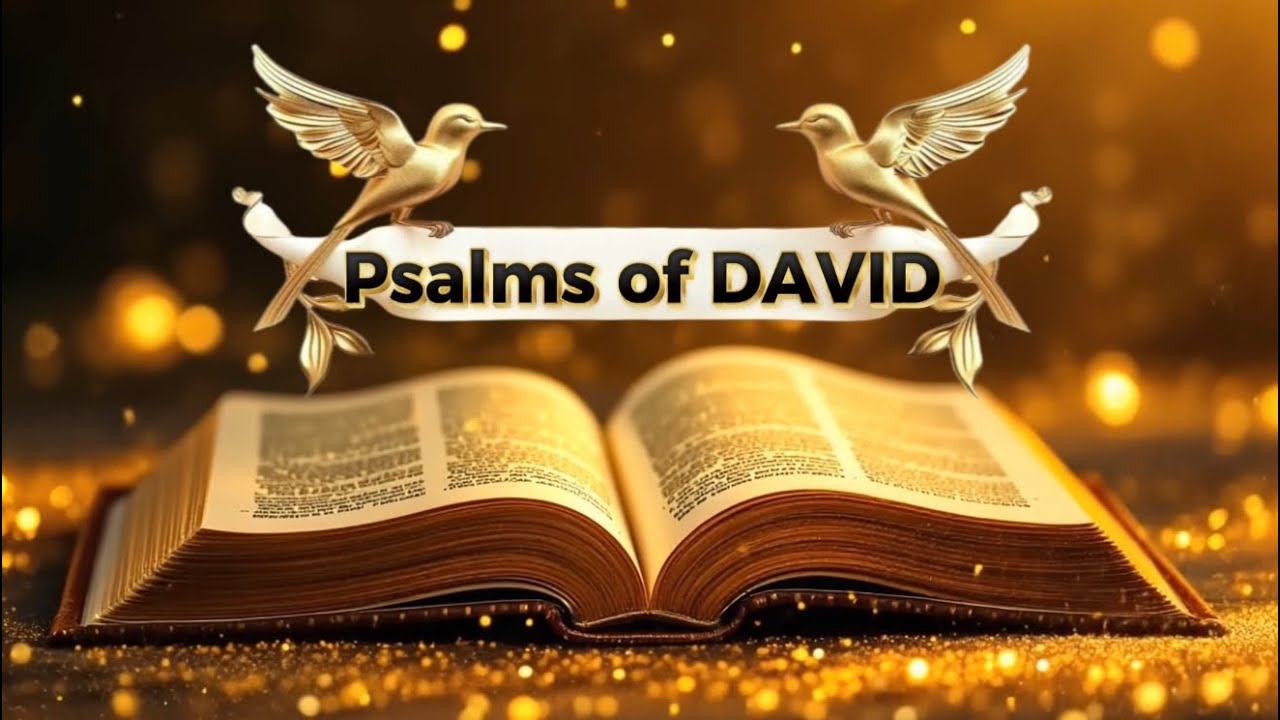 PSALMS OF DAVID AUDIO BIBLE PEACEFUL WITH MUSIC 