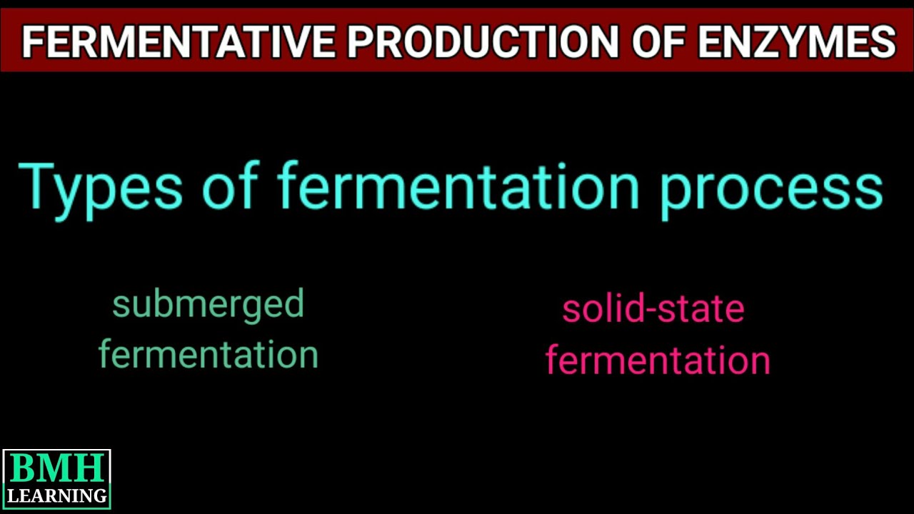 Fermentative Production Of Enzymes | General Procedure For Enzyme Production |