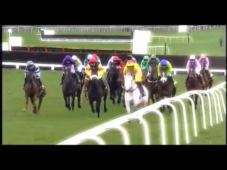 Kauto Star tribute