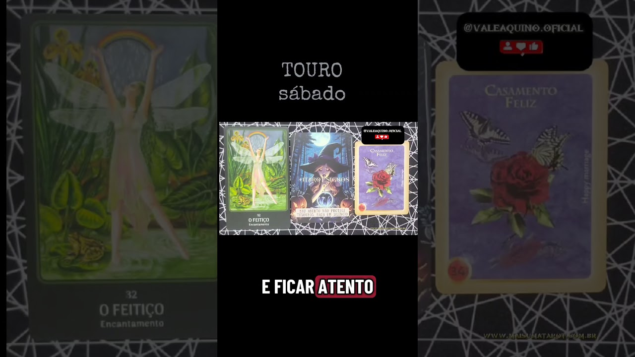 TOURO Tarot 01 de novembro sábado🎴
