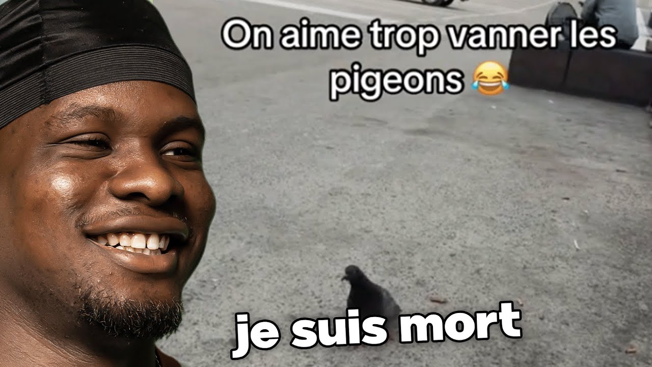 mon discord à les MEILLEURS memes