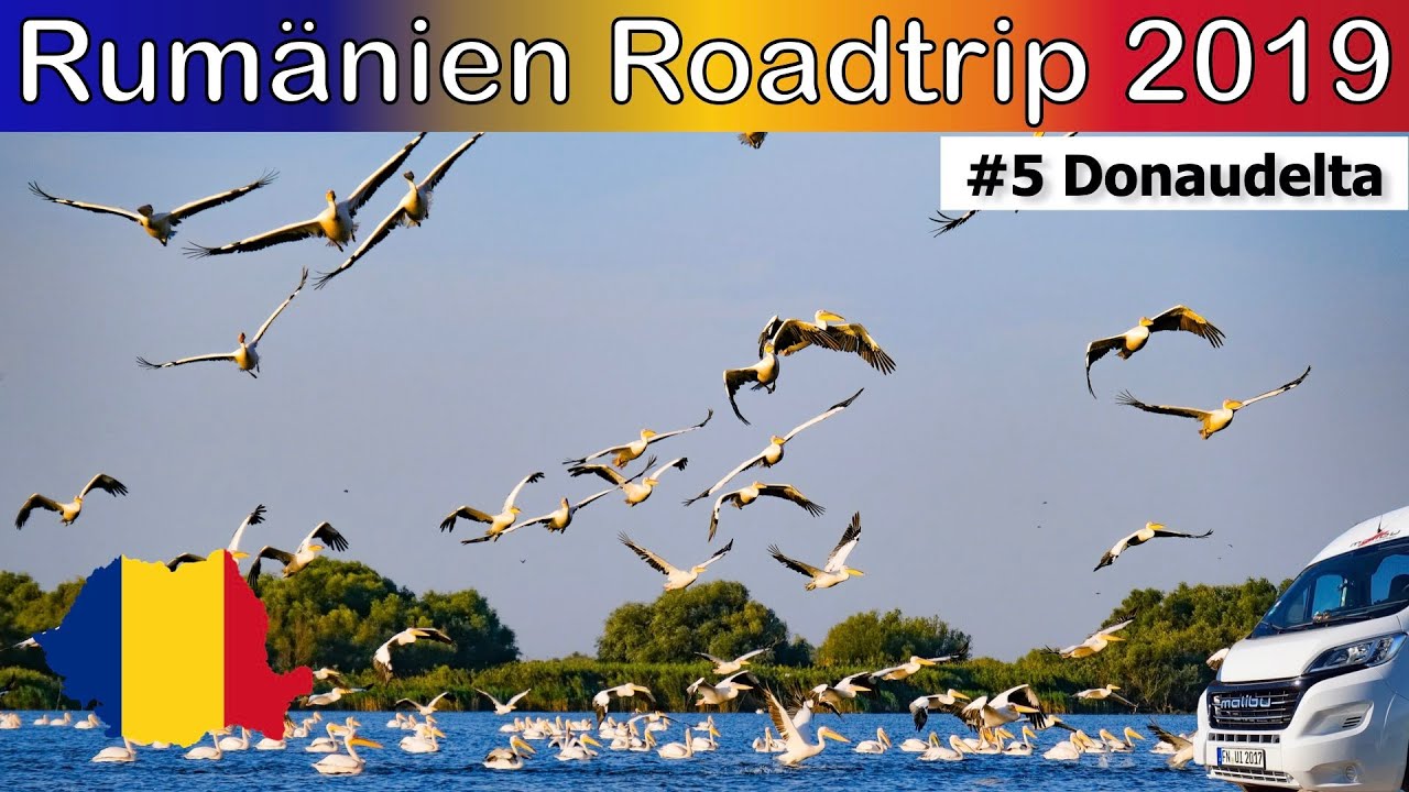 Rumänien 2019: #5 Donaudelta