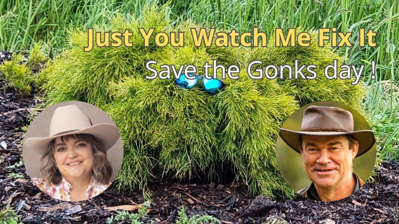 Save the Gonks day!