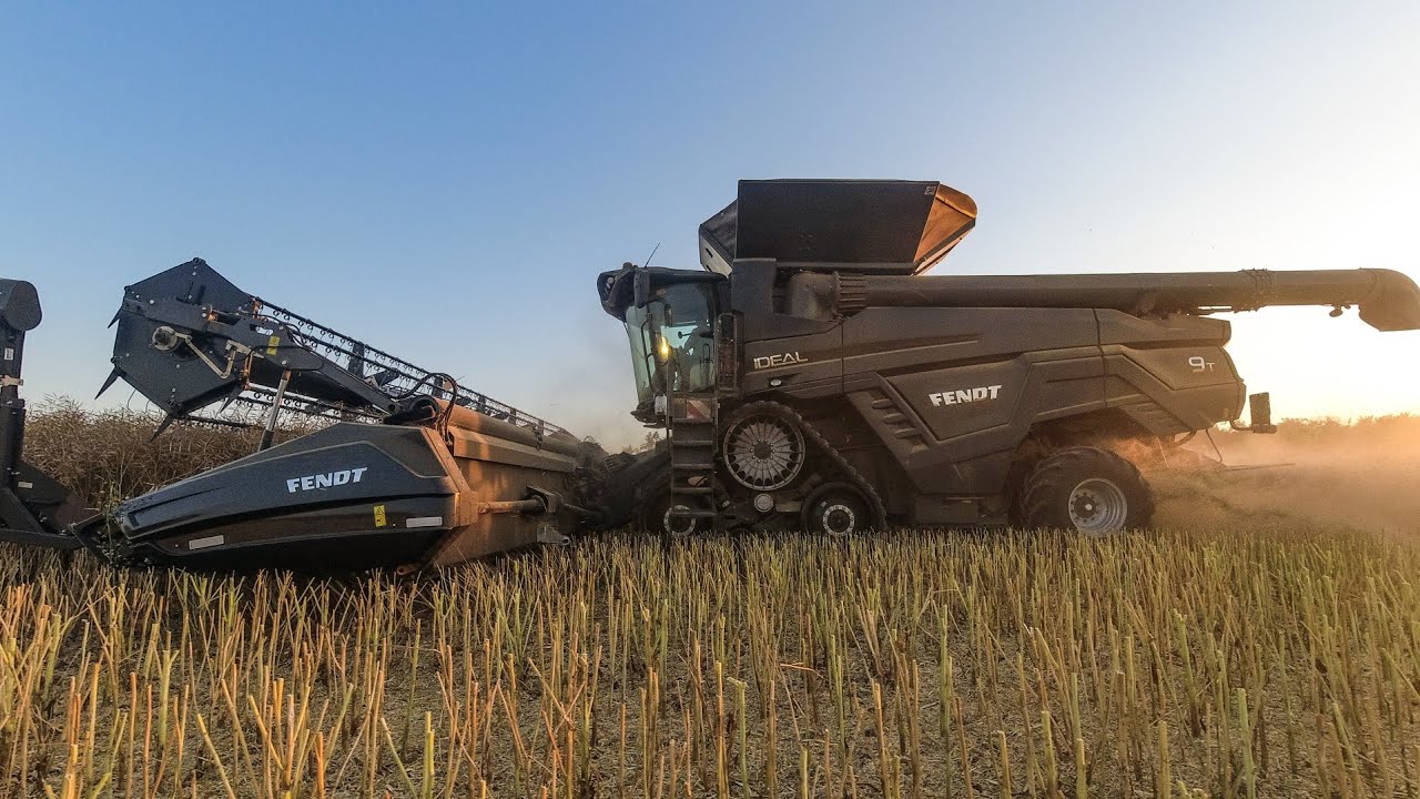 Fendt Ideal 9T - sklizeň řepky