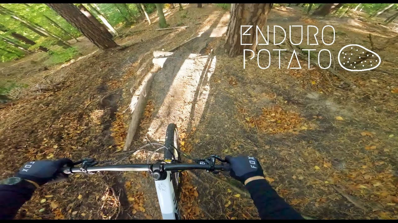 BFW Motyla Noga | TPK Gdańsk | Enduro Trójmiasto październik 2022