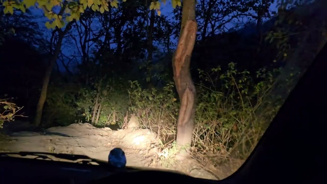 Hard Life of Jungle Villagers & Indo-Chinese Tiger Name Controversy Which Is Named After Jim corbett