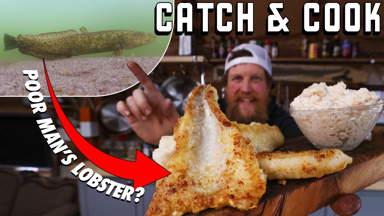 Poor Man's Lobster Catch & Cook AKA Cusk/Burbot Catch Clean & Cook