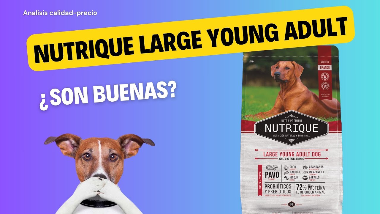 Análisis de alimento para perro: Nutrique Large young adult