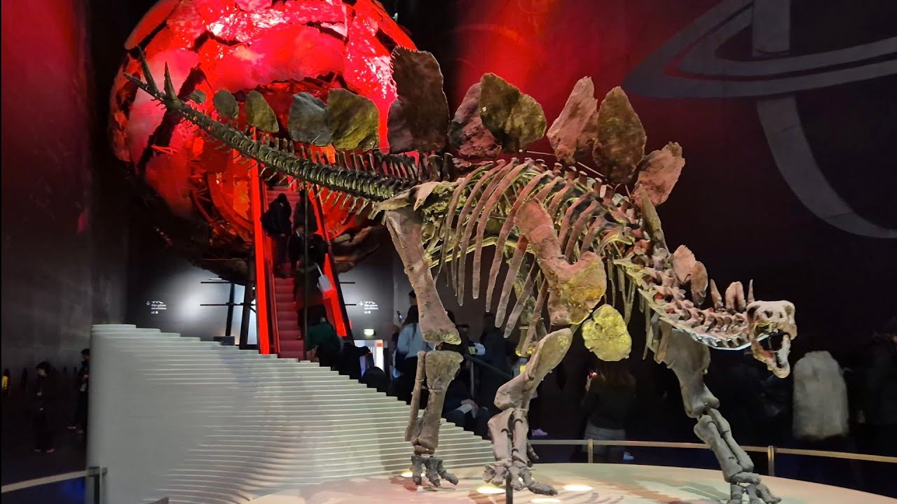 National History Museum ( LONDON )