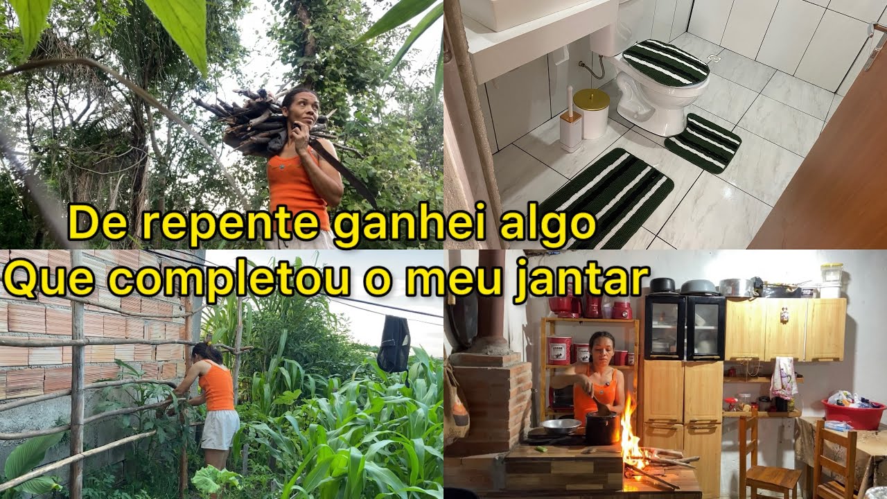 ENTREI NA MATA SOZINHA🌳BUSCAR LENHA PRA FAZER O JANTAR NO FOGÃO A LENHA