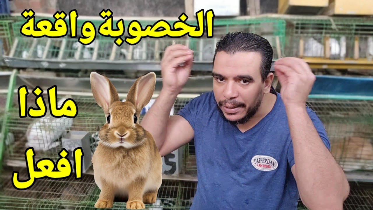 الخصوبة واقعة والارانب نايمة ومفيش انتاج الاسباب المؤثرة