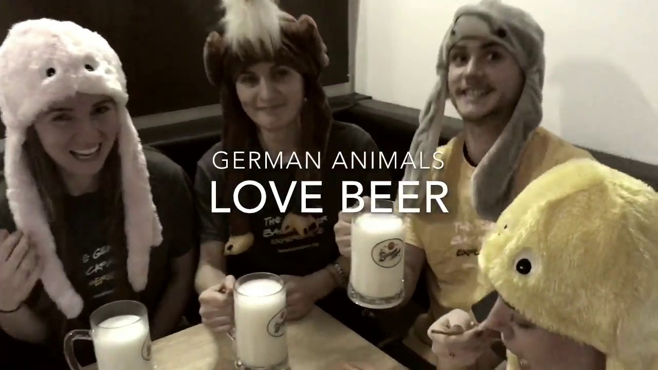 Europe's Famous Hostels Challenge - Five Elements Hostel Frankfurt