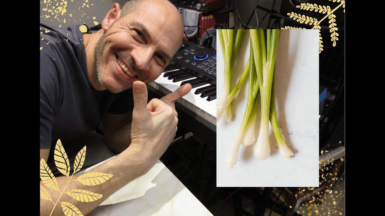 GREEN ONIONS. Kurzweil PC4