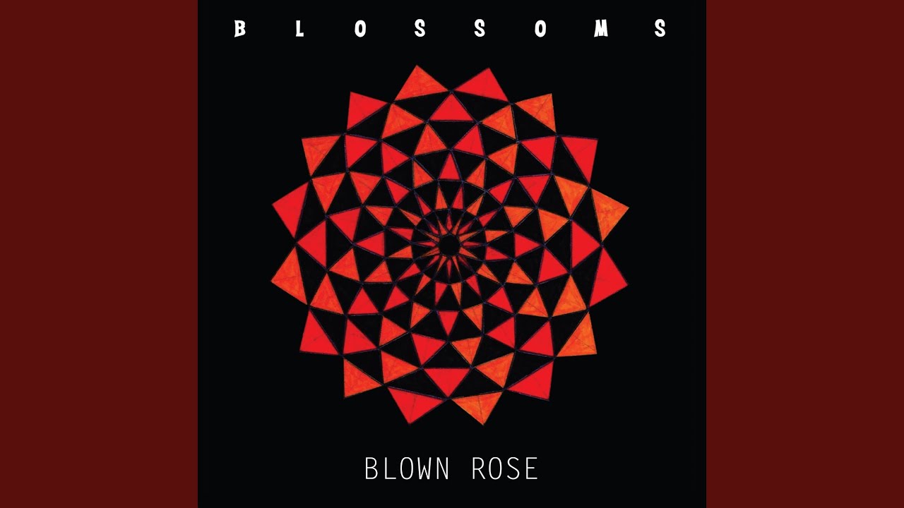 Blown Rose