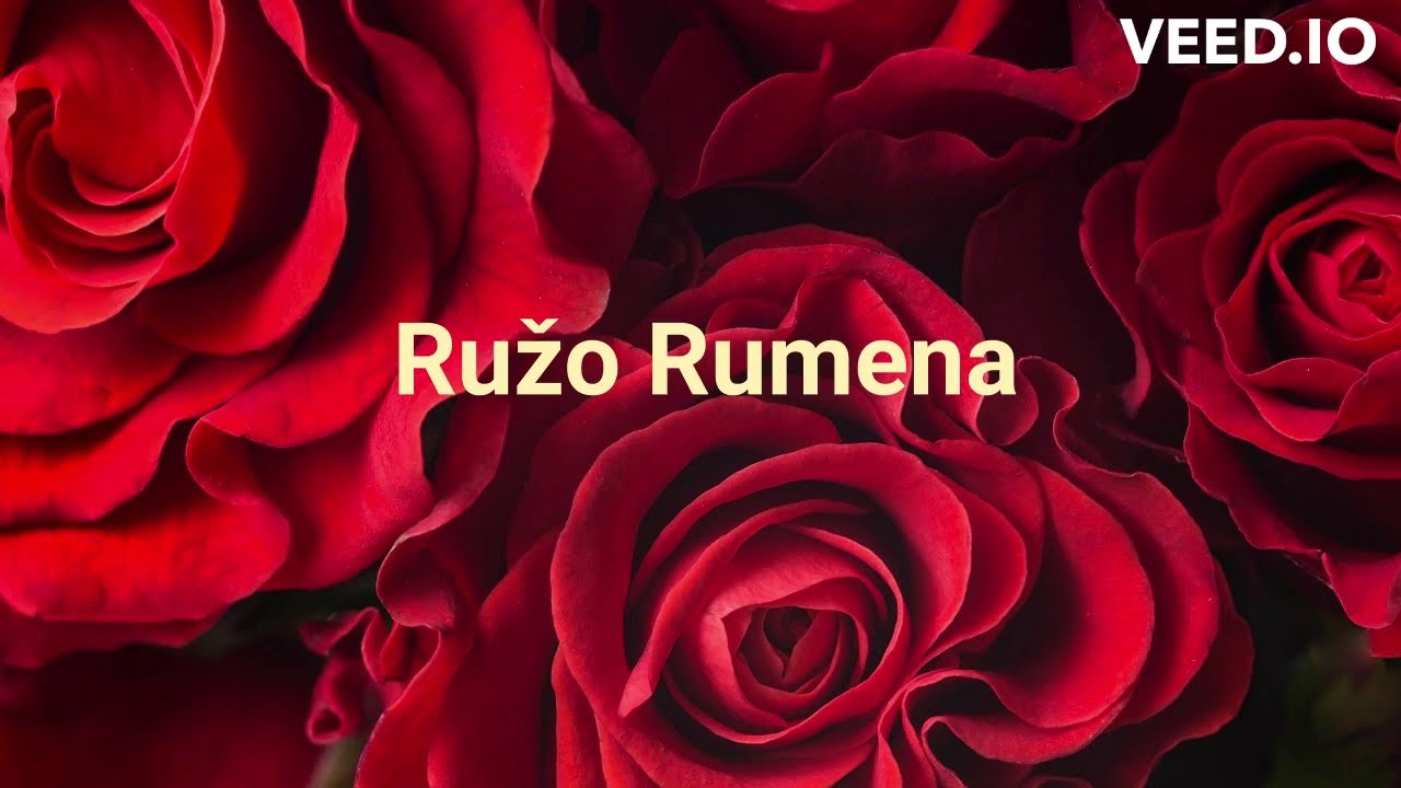 Ruzo rumena - Dragan Jovanovic (Karaoke)