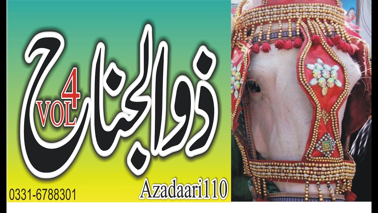 ZULJINAH pics vol 4 by Azadaari110