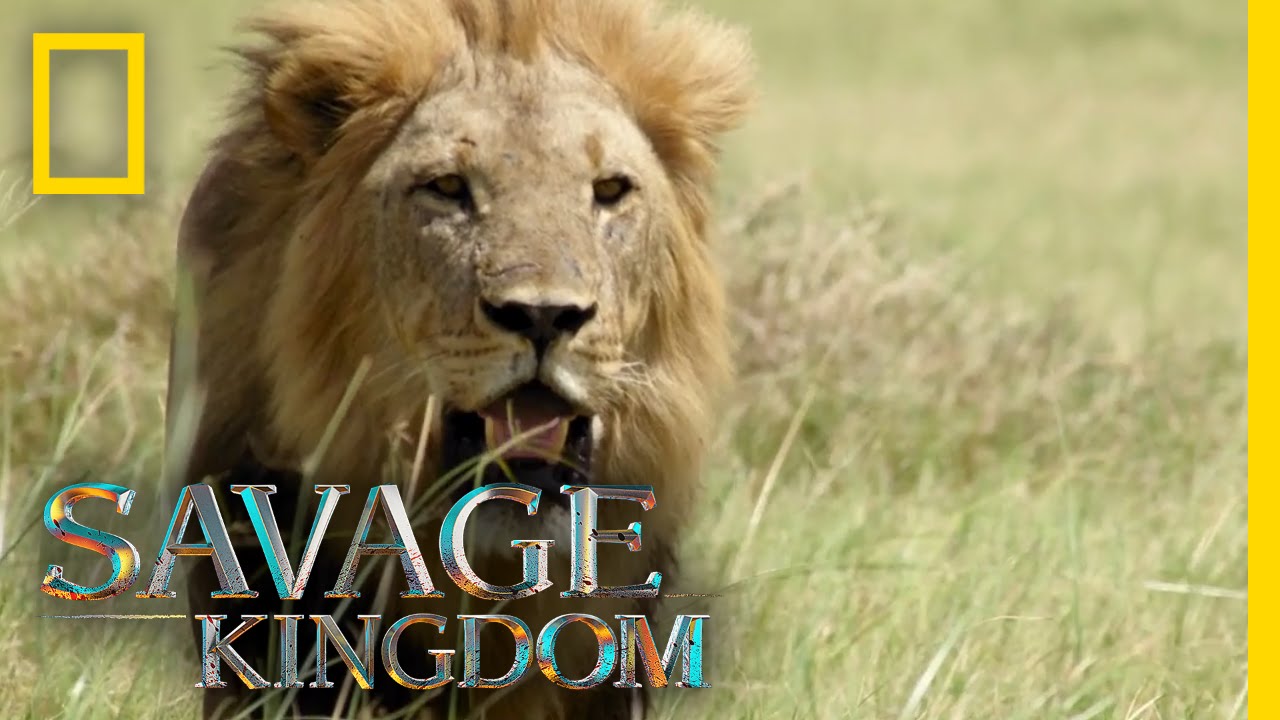 Execution or Exile? | Savage Kingdom