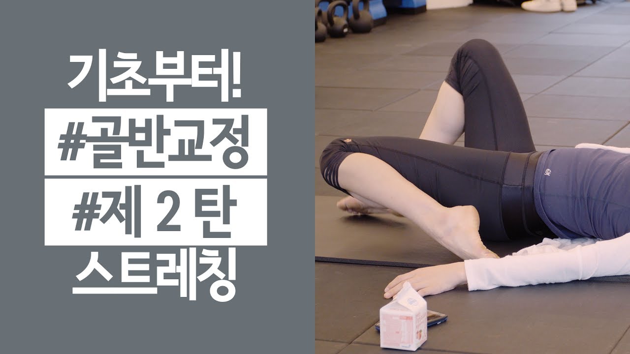 골반교정 허리통증을 위한 스트레칭 #2