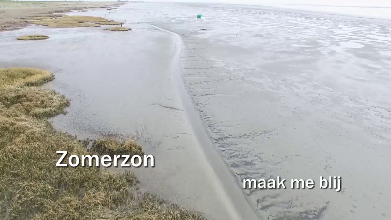 MAET 4 - Zomerzon