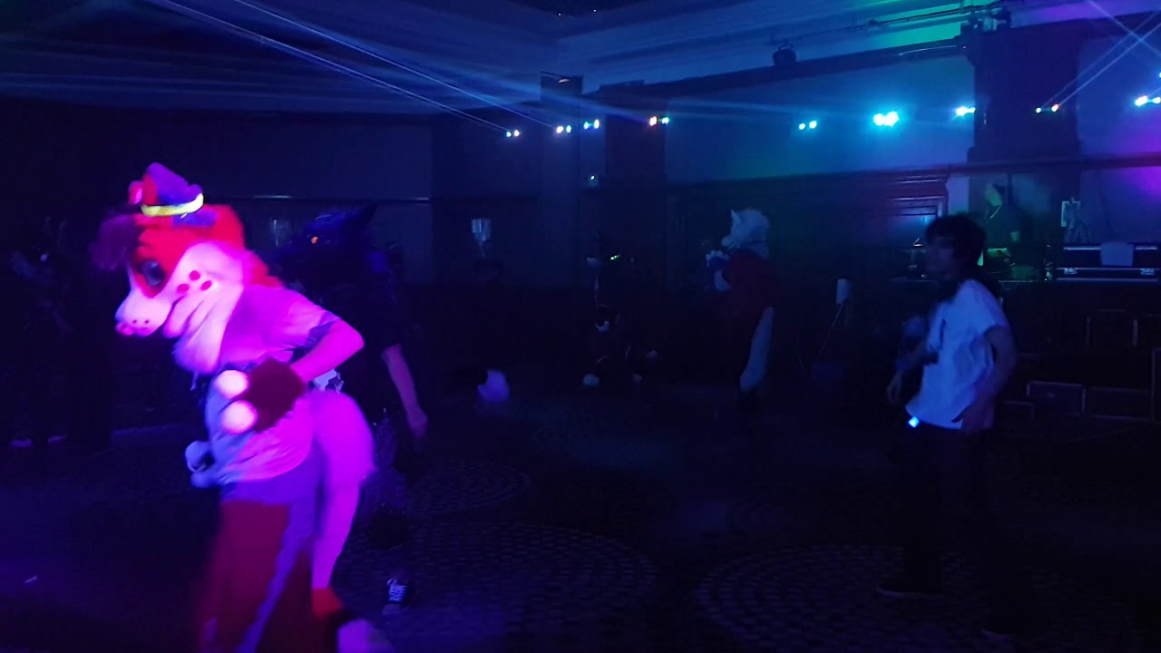 CFZ 2017 - Rave Footage