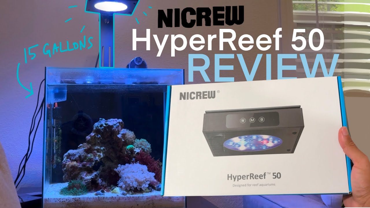 ОБЗОР NICREW HyperReef 50! Мы пользовались им 6 месяцев: вот наши впечатления!