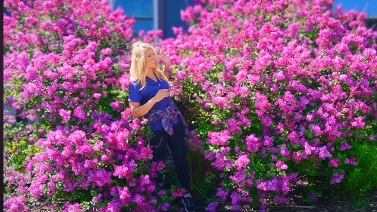 Window Box Recipe & GIANT Lilacs Blooming